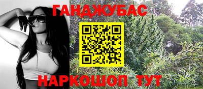 крисы Аргун