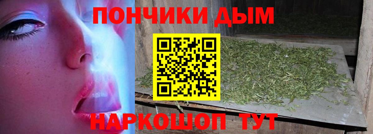 Каннабис индика Берёзовский